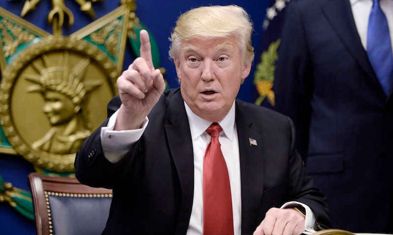 Image result for tramp